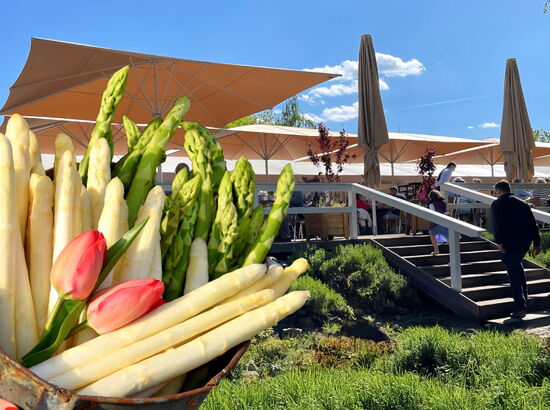 Spargelhofterrasse im Sommer; Eimer voller Spargel