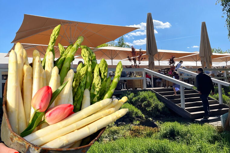 Spargelhofterrasse im Sommer; Eimer voller Spargel