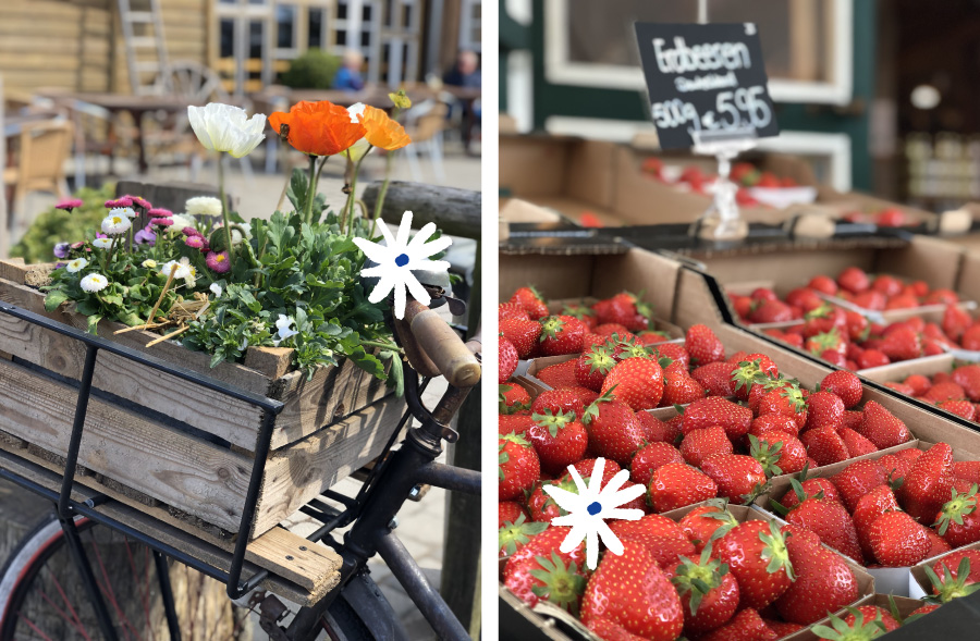 Blumendekoration am Fahrrad und frische Erdbeeren im Hofladen