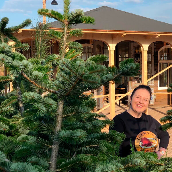 Weihnachtsbaum zur Miete und zum Kauf