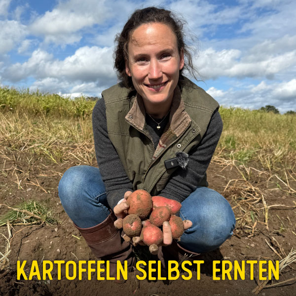 Kartoffeln selbst ernten!