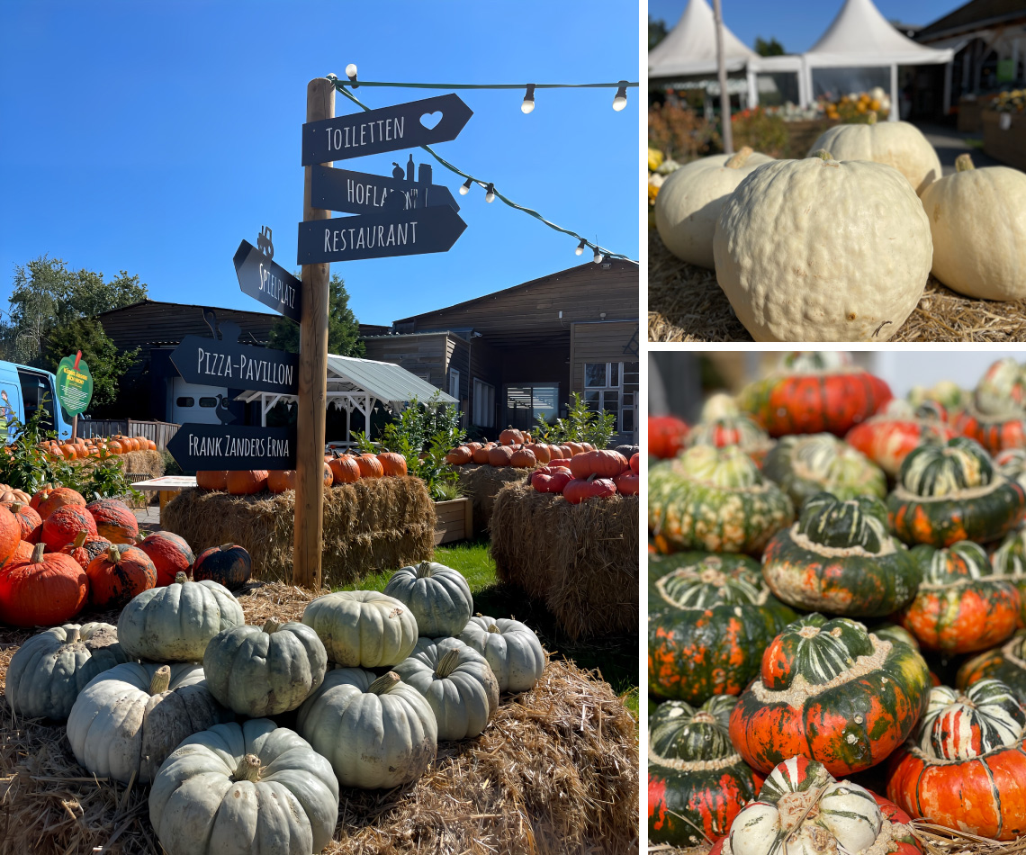 Kürbiszeit ab 20. September - Spargelhof in Kremmen